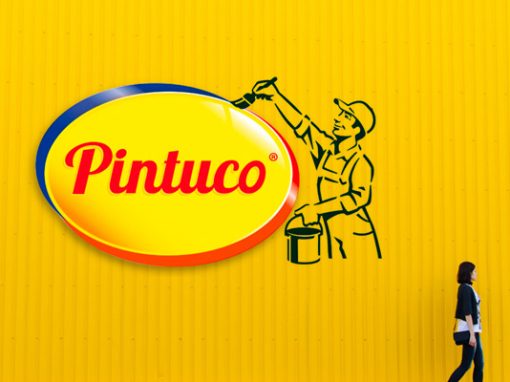 Pintuco